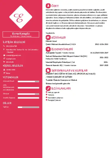 Yönetici Asistanı Cv Örnekleri cv indir